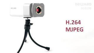 IP-камера видеонаблюдения в стандартном исполнении Beward BD3170