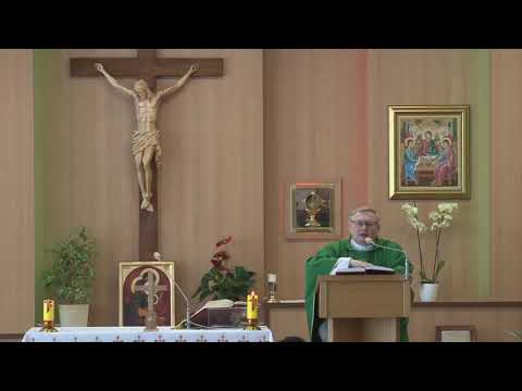 Komentarz do Mk 1,40-45 Święty Jezus nas oczyszcza (ks. Wł. Cyran, 02.2021)