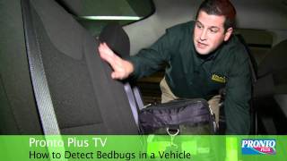 How To Detect Bedbugs In a Vehicle