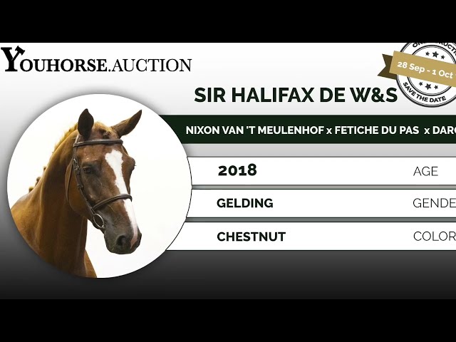 Sir Halifax showvideo