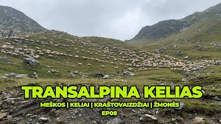 BE NAMŲ NEGERAI - GRUZIJA 🇬🇪 | GRAŽIAUSIAS KELIAS EUROPOJE | MEŠKOS | VINGIUOTAS KELIAS  EP08