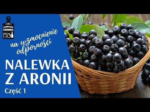 Nalewka z aronii. Doskonały smak i bardzo zdrowa! Część 1. Jak zrobić...? #241