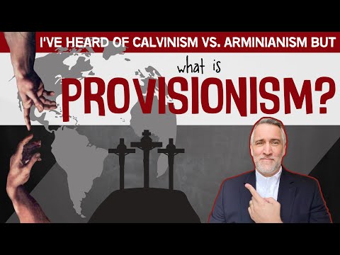 What is Provisionism?