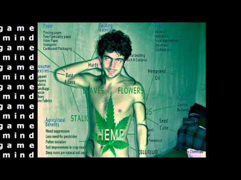 Mark Knight & Funkagenda - Man With The Red Face(Hardwell Remix)