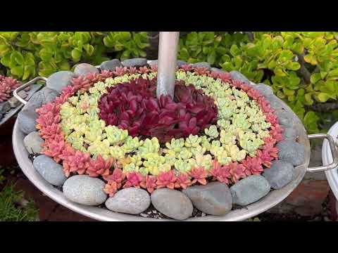 Kay's Garden Tour - May 2023