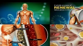 Stemtech Review | Stem Cell Nutrition | Stem Cell Energy | Stemtech Review