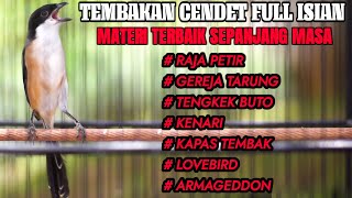 Download lagu MASTERAN BURUNG CENDET FULL MATERI TERBAIK SEPANJANG MASA mp3
