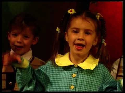 Svirplys - Boružiukai