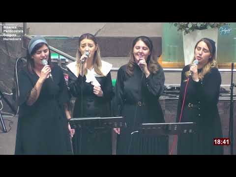 Surorile de la Moisei - Tu n-ai sub soare, asemănare