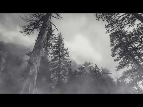 Purple Rain Cover John Rock Prophet