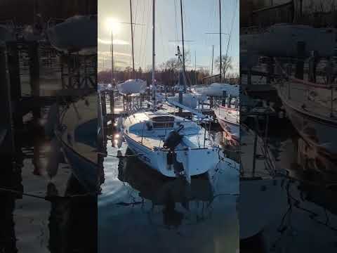 Looks like BLUR is just as happy to be back on the water as we are ⛵ #j24 #sailing #shorts