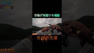 本当は教えたくない。大物が釣れる堤防シリーズ⑰#shorts #釣り #ショアジギング