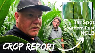 GO SCOUT YOUR CROPS!