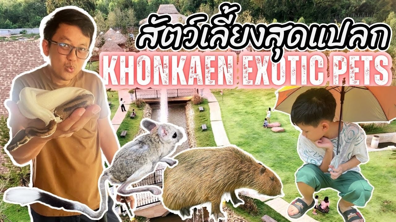 ขอนแก่น เอ็กโซติค เพ็ท แอนด์ ไนท์ซาฟารี
