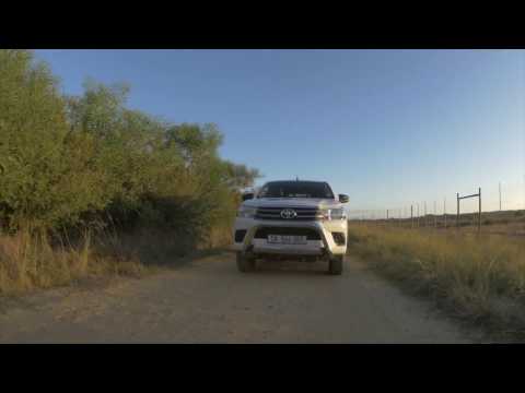 Toyota driving bird conservation