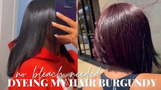 HOW TO: dyeing my hair from BLACK to BURGUNDY / no bleach needed / new haircut debut