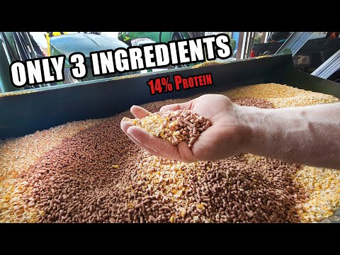 , title : 'EASY PIG FEED MIX - Only 3 Ingredients 14% Protein