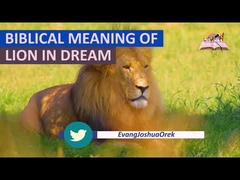Biblical Meaning of LION In Dream - What does Lions mean to Christians?