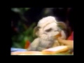 1993 NBC Promo Today TV And Kids