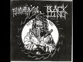 PrivateEviscerated Soul Black Lung Full Length Album Split CD 303 Grindcore