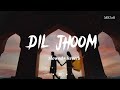 Dil Jhoom (Slowed+Reverb) | Vidyut Jammwal | Nora Fatehi | Vishal Mishra | Shreya Ghoshal |