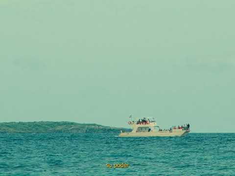 Townix - Alta Mar (Visualizer)