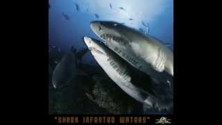 Fubar Mc / Iguan / Verb / Maximus Da Mantis - Shark Infested Waters [Cuts Dj Joon & Beat Dj Rhum'1]
