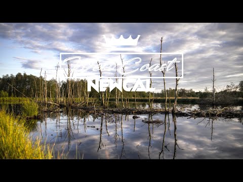 Dj Kena - Carolina (Remix Souvenir)