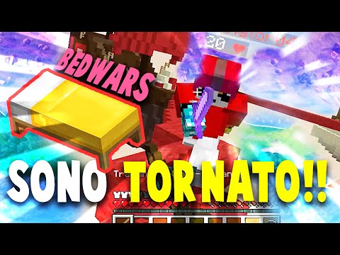 MAI AVRESTE CREDUTO AL RITORNO DELLE BEDWARS SU MINECRAFT !!