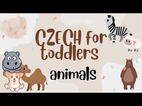 CZECH for toddlers - ANIMALS