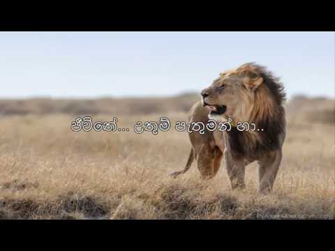 Nadee Ganga Tharanaye Lyrics (නදී ගංගා තරණයේ) - Chitral Somapala