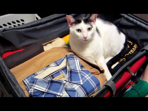 Tomorrow Mor-  … Tomorrow (Day 1708 - 7/29/14)