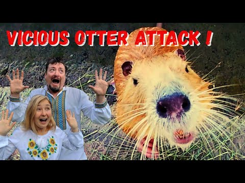 OTTER ENCOUNTERS (AND A NIGHT ON THE TOWN) IN IVANO-FRANKIVSK