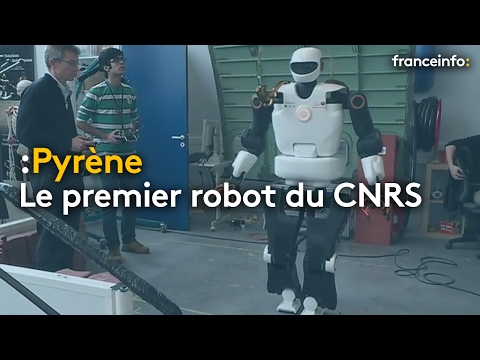 Dites bonjour à Pyrène, le premier robot bricoleur - franceinfo