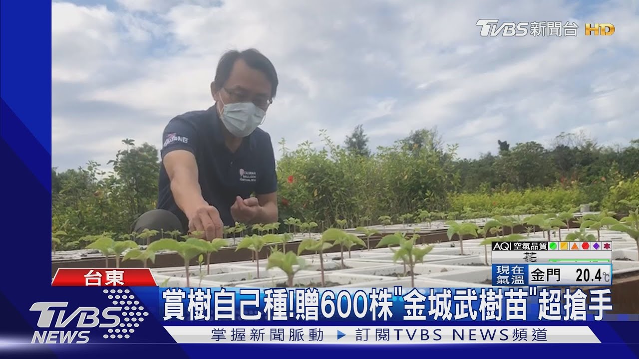 賞樹自己種! 贈600株「金城武樹苗」超搶手