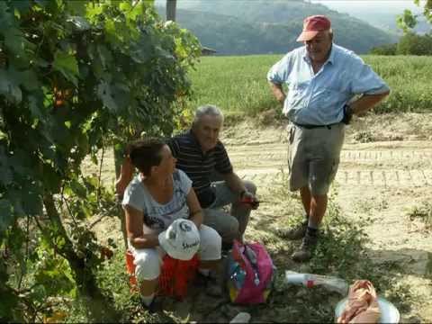 Come e bello Vendemmiare(divx).avi