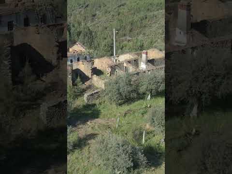 Before Freedomville #sneakpeak #creating #freedomville #offgrid #boutiqueresort #shorts