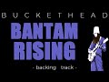 Buckethead - Bantam Rising (backing tack)