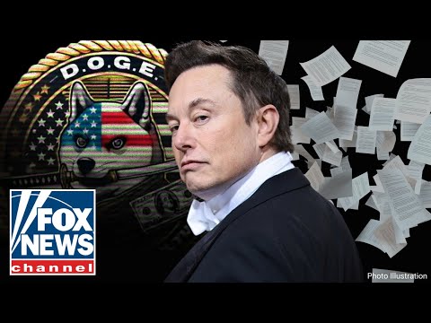 DODGING DOGE: Elon Musk's government efficiency team bombarded with lawsuits