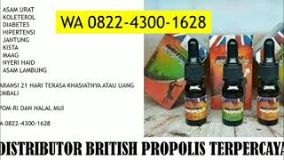 Download lagu TERBAIK!! WA 0822-4300-1628, Jual Obat Lambung Untuk Anak mp3