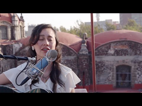 Los Pájaros De Ciudad video