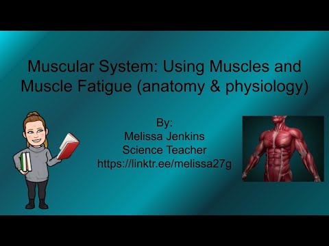 Using Muscles & Muscle Fatigue (causes, treatment and prevention) In Exercise (anatomy & physiology)