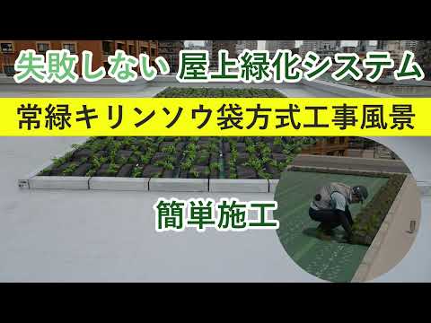常緑キリンソウ袋方式工事の流れ　失敗しない屋上緑化システム