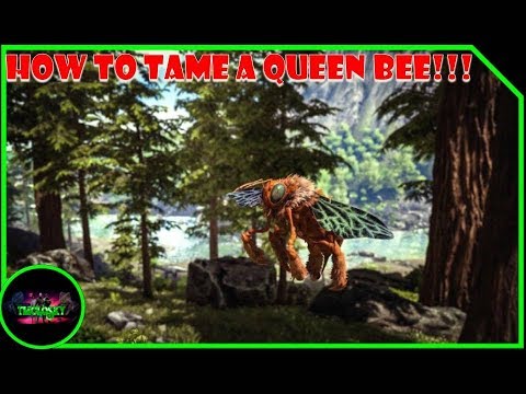 ARK - HOW TO TAME THE QUEEN BEE & MAKE BEE HIVE!
