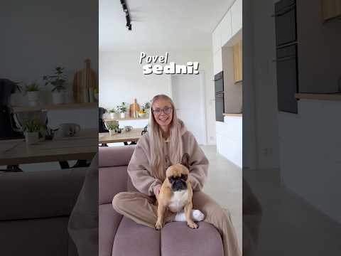 Povel sedni! 👀🐶 #spolupráce s Lyopro.cz! ♥️ #dog