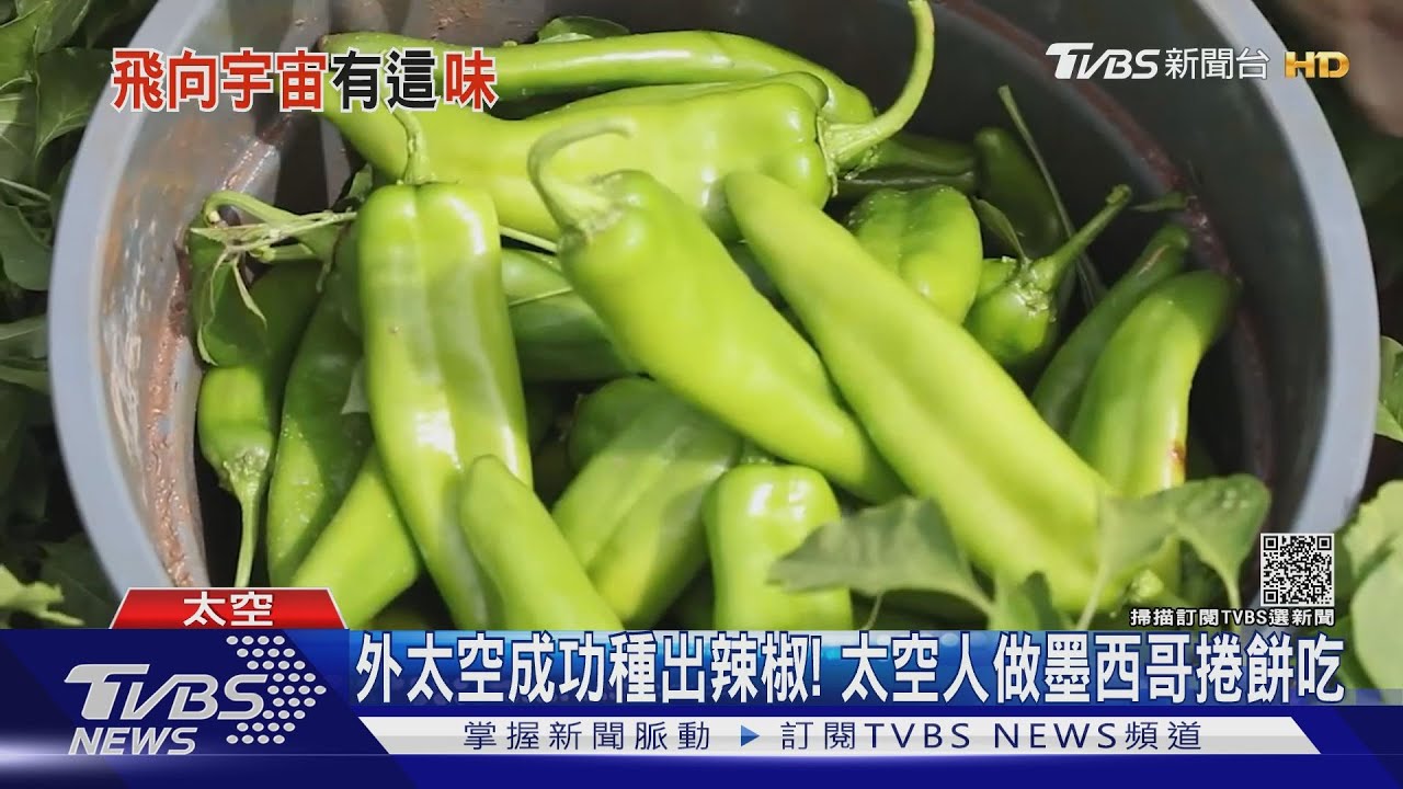 外太空成功種出辣椒！　太空人做墨西哥捲餅吃