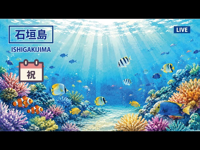 石垣島 名蔵湾・フサキビーチ