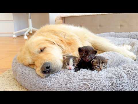 YouTube 썸네일