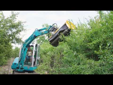 Defrișare vegetație calea ferată Teaca - Râciu