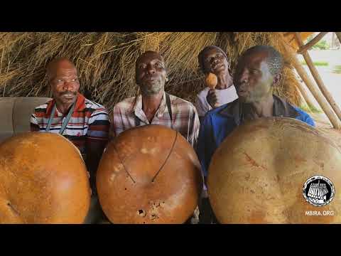 Dzapasi Mbira Group play Kariga Mombe 'Pamuromo Pangu'